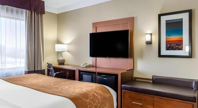 Comfort Suites Plainview Esterno foto